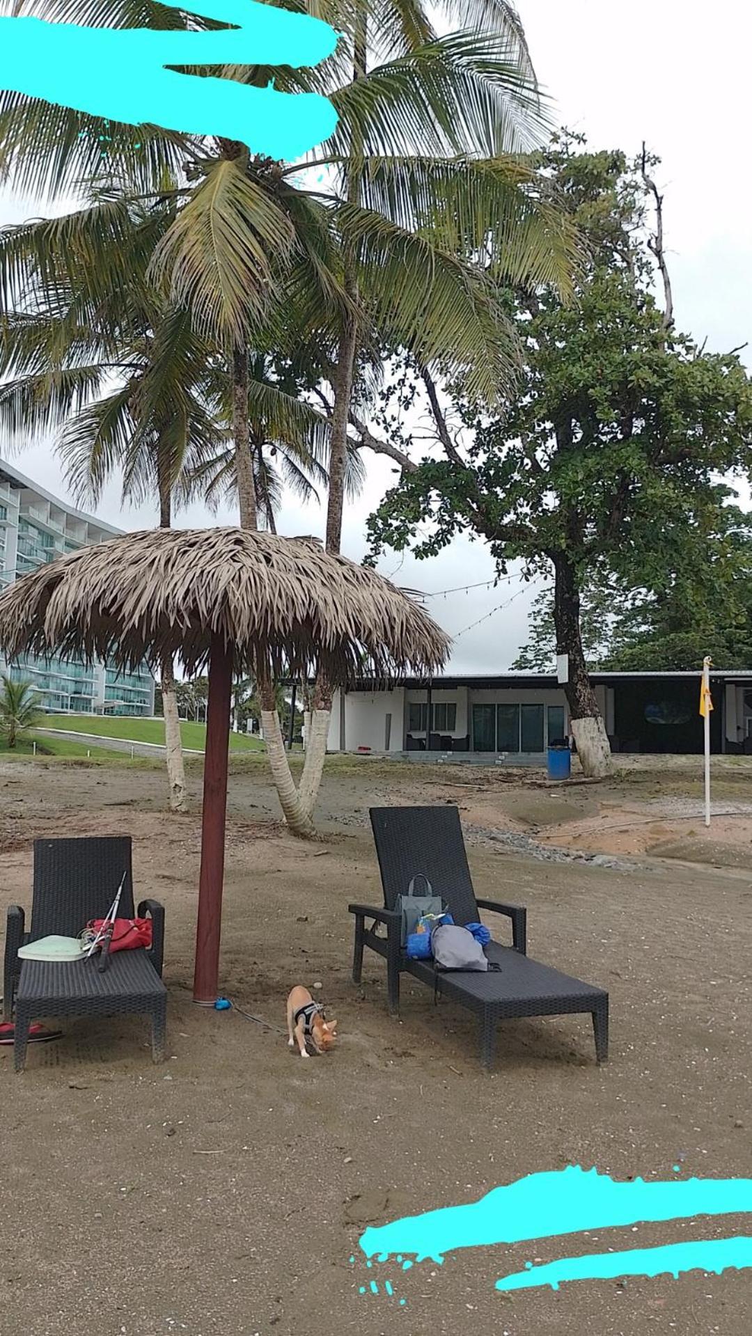 קולון Apartamento En Balabeach Maria Chiquita In Front Of The Beach 2Hab חדר תמונה