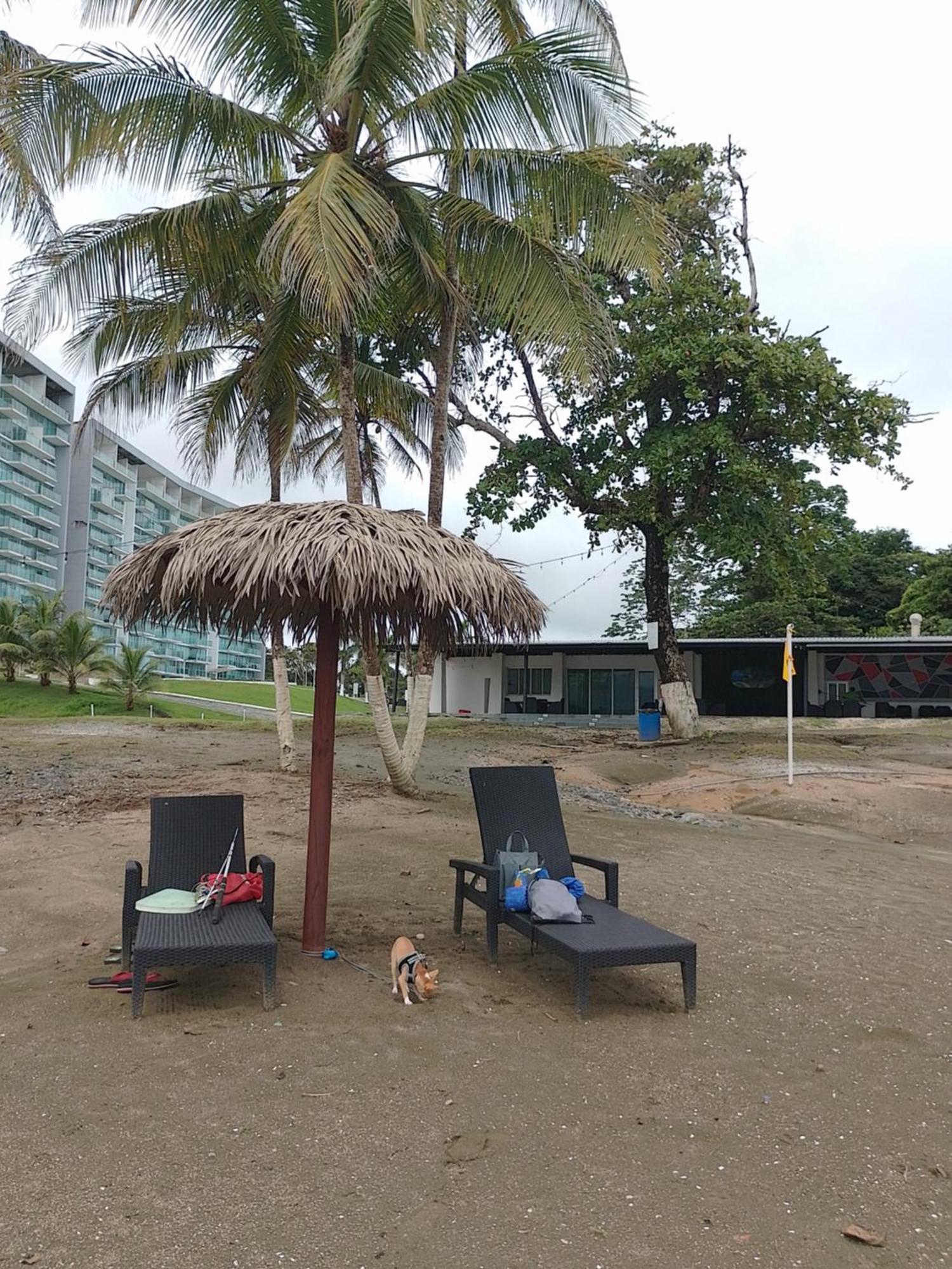 קולון Apartamento En Balabeach Maria Chiquita In Front Of The Beach 2Hab חדר תמונה